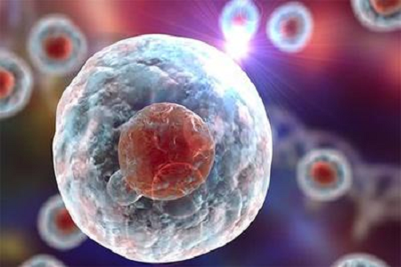 Бабио запускает высококачественное раствор Giemsa Stain B для продвинутой цитогенетической и гематологической диагностики
