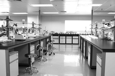 Babio Salmonella Shigella Agar: надежная среда для безопасности пищевых продуктов и клинической диагностики